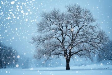 Fototapeta premium A Single Bare Tree Standing Tall in a Snowy Landscape