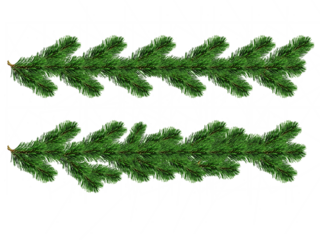 fir leaves transparent png for christmas or happy new year poster, banner, blur fir leaves or pine leaves png for advertisement, social media creative.