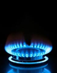 Burning gas flame in burner on black background.