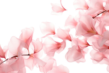 Fototapeta premium PNG Pink blurry petals backgrounds blossom flower.