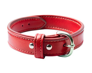 leather dog collar on transparent or white background, pet collar, front view