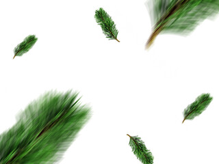 fir leaves transparent png for christmas or happy new year poster, banner, blur fir leaves or pine leaves png for advertisement, social media creative.