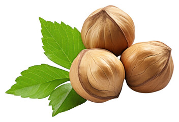 PNG Fresh hazelnuts with green leaves