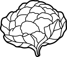 Cauliflower coloring outline illustration vector