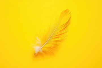 Obraz premium A close-up view of a single yellow feather lies gracefully on a vibrant yellow background, highlighting its delicate and intricate design and texture.