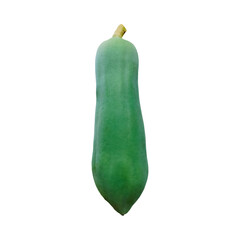 green raw papaya isolated on transparent background