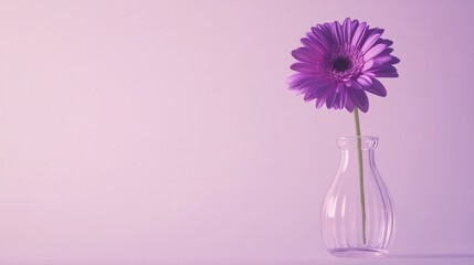 A minimalist composition of a single purple flower in a clear vase against a plain white background