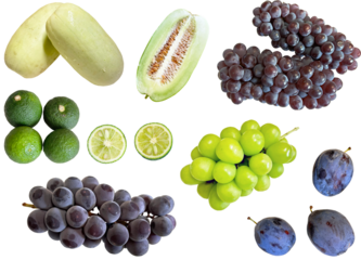 切り抜き透過素材セットーフルーツ13