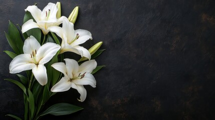 Fototapeta premium A serene arrangement of white lilies on a dark background, symbolizing purity and elegance.