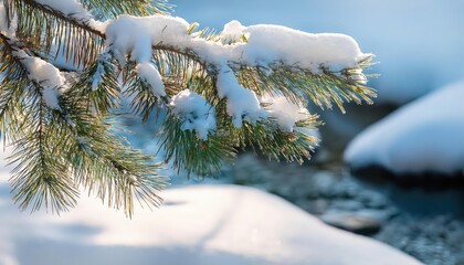 Obraz premium Frozen lakes reflect the gray sky, a mirror of winter's stillness. 