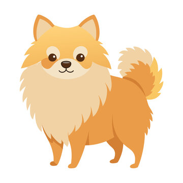 recommend clip art: Pomeranian dog breed Cute cartoon vector clipart Design