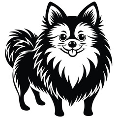 Obraz premium Pomeranian dog breed Cute cartoon vector clipart Design