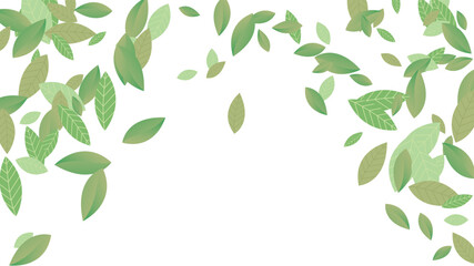 Leaves Vector White Background Illustration. Fresh Greens Template. Grassy Leaf Brochure, Green flying leaves wave,nature Day