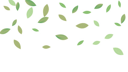 Leaves Vector White Background Illustration. Fresh Greens Template. Grassy Leaf Brochure, Green flying leaves wave,nature Day