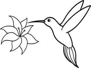 Hummingbird Feeds on Sweet Flower Nectar
