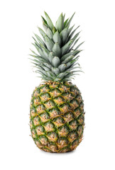 One fresh ripe pineapple isolated on white