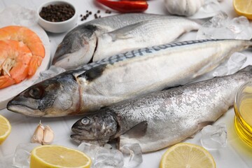 Fresh raw sea food and products on white tiled table, closeup