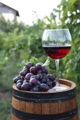 Tasty wine in glass and grapes on wooden barrel outdoors