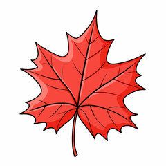 Red autumn maple leaf stock illustration