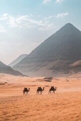 The Ancient Pyramids of Giza Surrounded by Golden Sands on a Clear Sunny Day