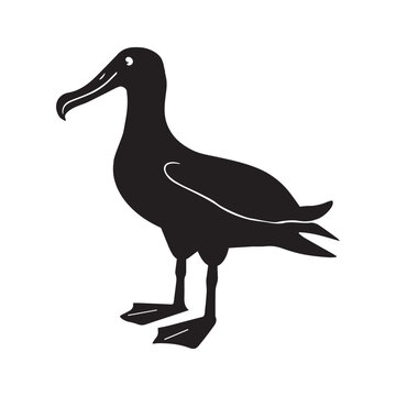 recommend clip art: Albatross silhouette Clipart - Albatross vector illustration in black and white 
                    