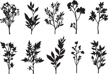 Set plants. Hand drawn vector illustration	