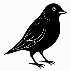 Canary Bird Black silhouette
