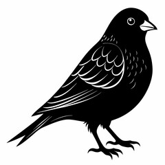 Canary Bird Black silhouette