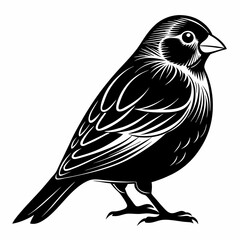 Canary Bird Black silhouette