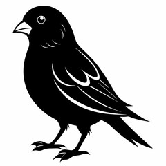 Canary Bird Black silhouette