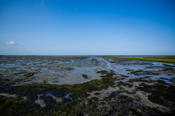 Wattenmeer