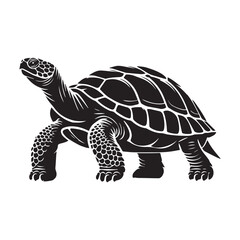 Fototapeta premium Turtle silhouette Clipart - Turtle vector illustration in black and white 