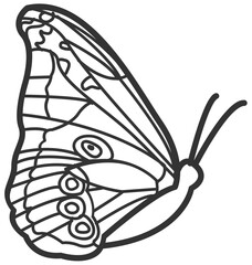 butterfly line art