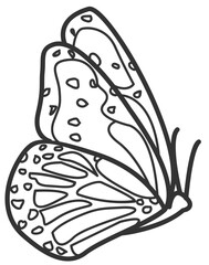 butterfly line art