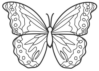 butterfly line art