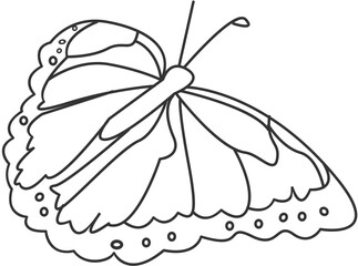 butterfly line art