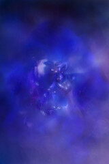 Intimate Iris Moment