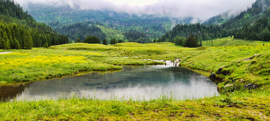A serene pond lies in the heart of an Austrian alpine meadow, surrounded by lush greenery and towering mist-covered mountains. The tranquil landscape offers a peaceful retreat for nature lovers and hi