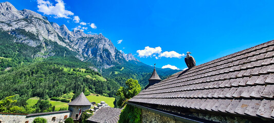 The majestic Burg Hohenwerfen stands proudly against a backdrop of towering Austrian Alps. A bird perches on the roof, adding a natural touch to the medieval fortress, showcasing the harmony between h