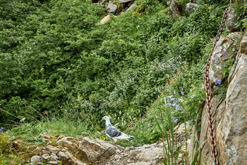 Wakacje w Górach © Thomas
