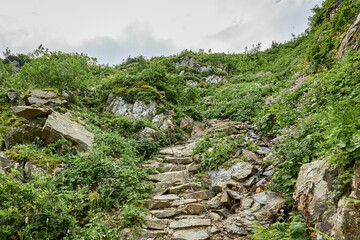 Wakacje w Górach © Thomas