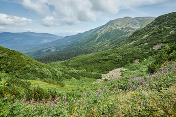 Wakacje w Górach © Thomas