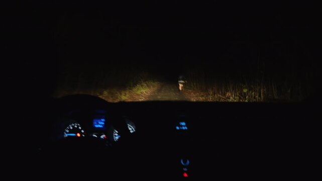 Handheld shooting inside a car: A frightened young woman quickly runs away from a car following her along a country road at night.
