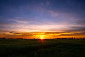 sunrise sunray sunset in field.Sunset at cultivated land in the countryside on a summer evening with cloudy sky background. Landscape.