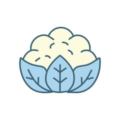 Fresh cauliflower illustration. Colorful cartoon illustration of a fresh cauliflower with leaves. Perfect for health, food, and cooking themes.