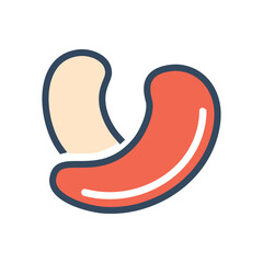 Cashew nut icon. Illustration of a cashew nut, healthy, delicious, snack. Perfect for food, nutrition, and healthy lifestyle concepts.