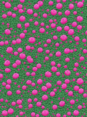 Romantic Pink and White Peony Flowers: Perfect for Wedding Invitations and Valentine’s Day Cards