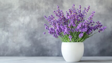 Fototapeta premium Lavender flowers arranged in a white vase on a grey background table. Generative Ai