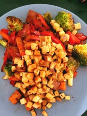 stir fried vegetables with tofu
