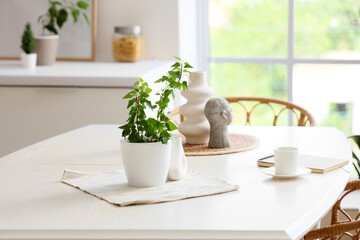 Houseplant, vases and notebook on table in dining room